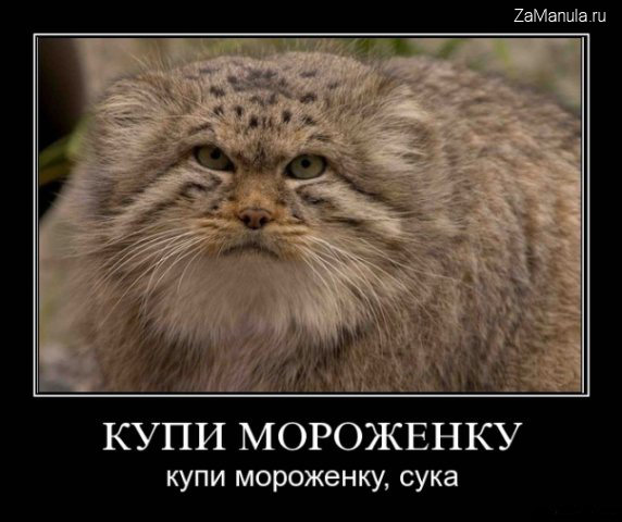 Купи мороженку Купи мороженку