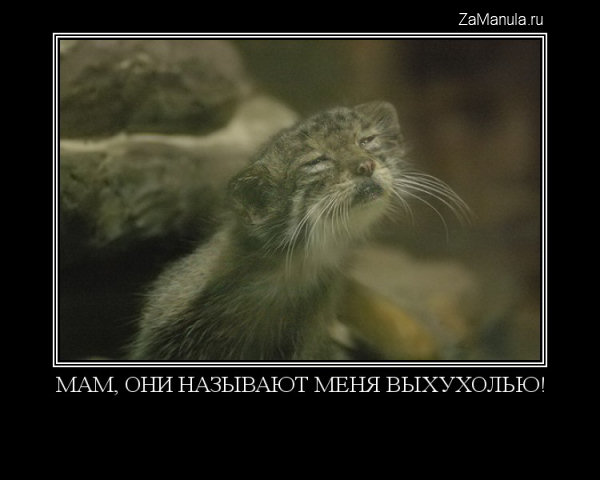 Мам, они называют меня выхухолью! Мам, они называют меня выхухолью!