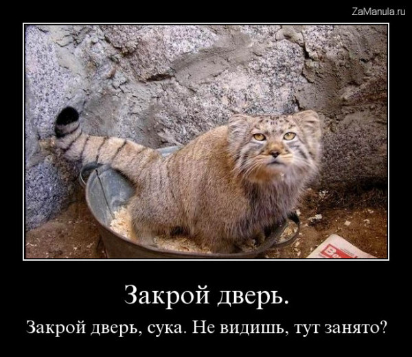 Закрой дверь Закрой дверь