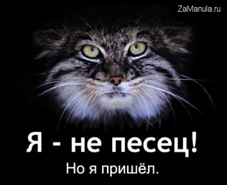 Я - не песец! Но я пришёл. Я - не песец! Но я пришёл.