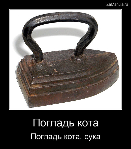 Погладь кота Погладь кота