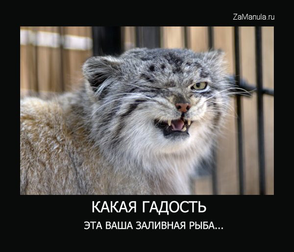 Какая гадость Какая гадость