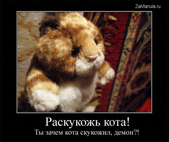 Раскукожь кота! Раскукожь кота!