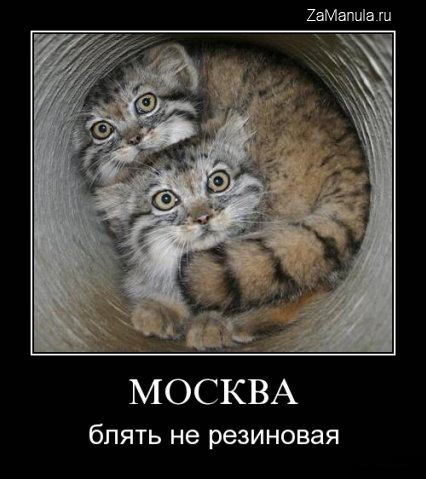 Москва не резиновая Москва не резиновая