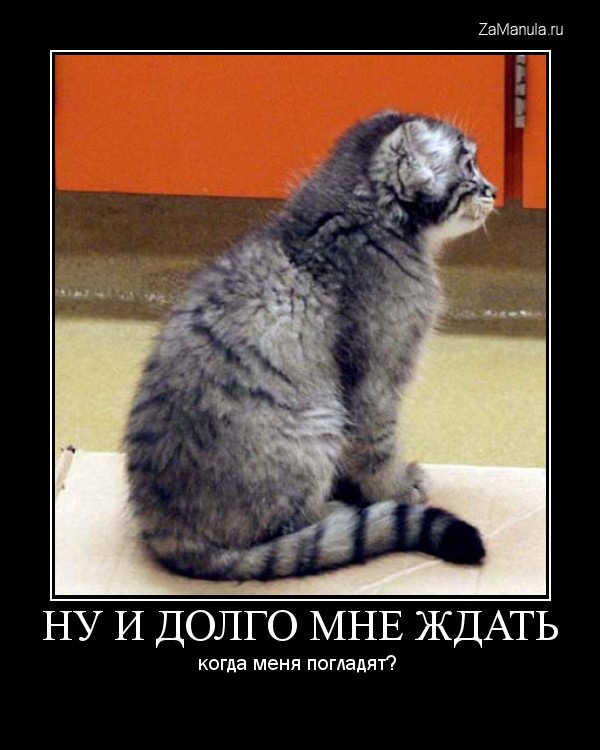 Ну и долго мне ждать Ну и долго мне ждать?
