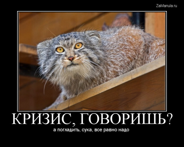 Кризис, говоришь? Кризис, говоришь?