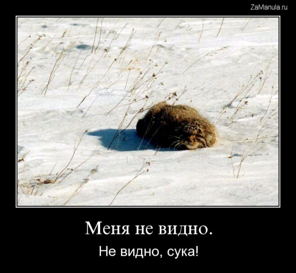 Меня не видно Меня не видно