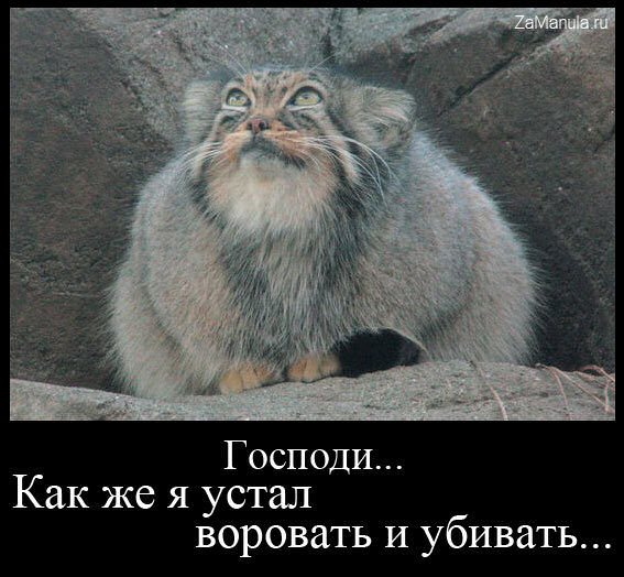 Как же я устал воровать и убивать... Как же я устал воровать и убивать...