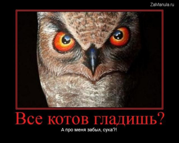 Все котов гладишь? Все котов гладишь?