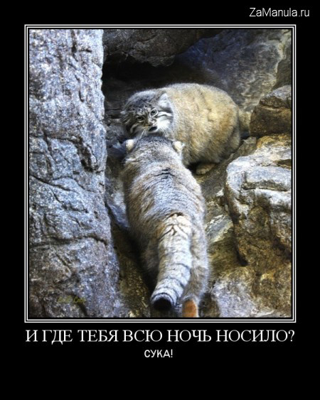 И где тебя всю ночь носило? И где тебя всю ночь носило?