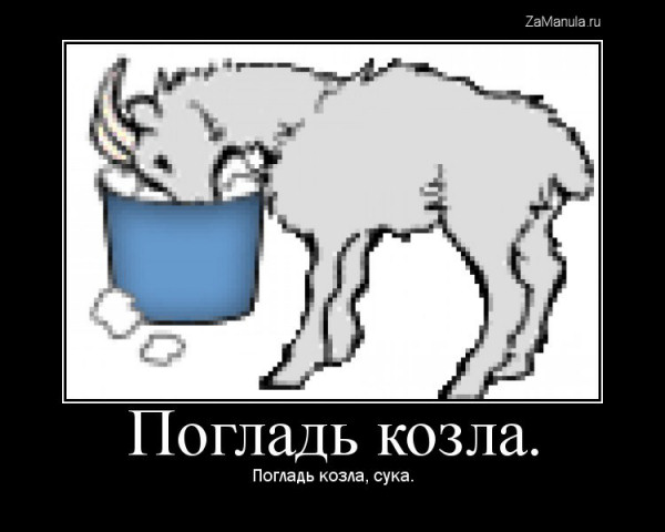 Погладь козла Погладь козла