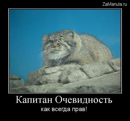 Капитан Очевидность Капитан Очевидность