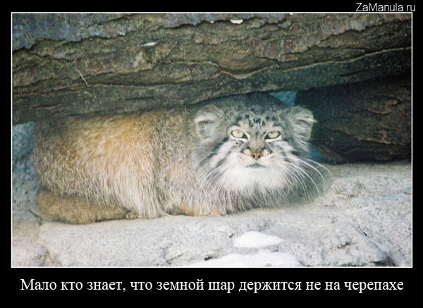 земной шар