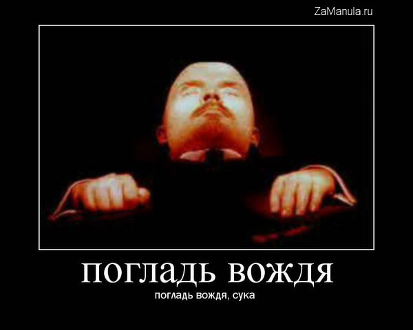 Погладь вождя Погладь вождя