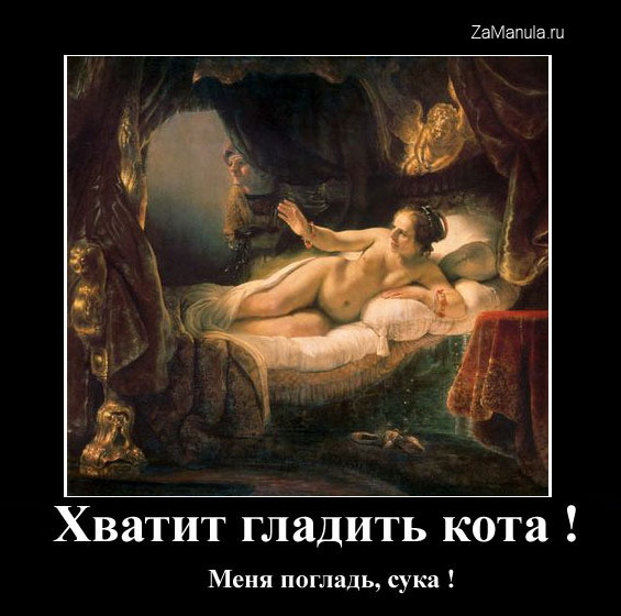 Хватит гладить кота! Хватит гладить кота!