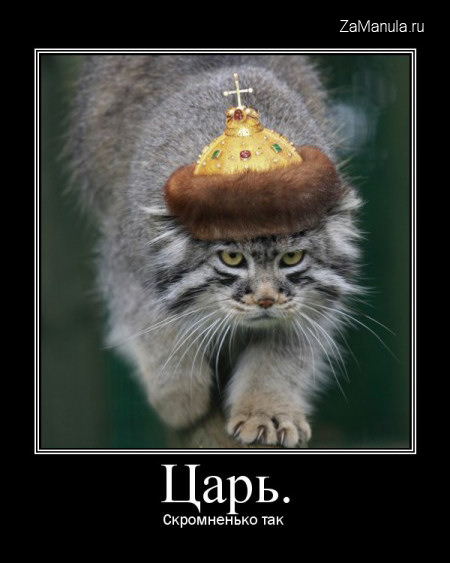 Царь Царь