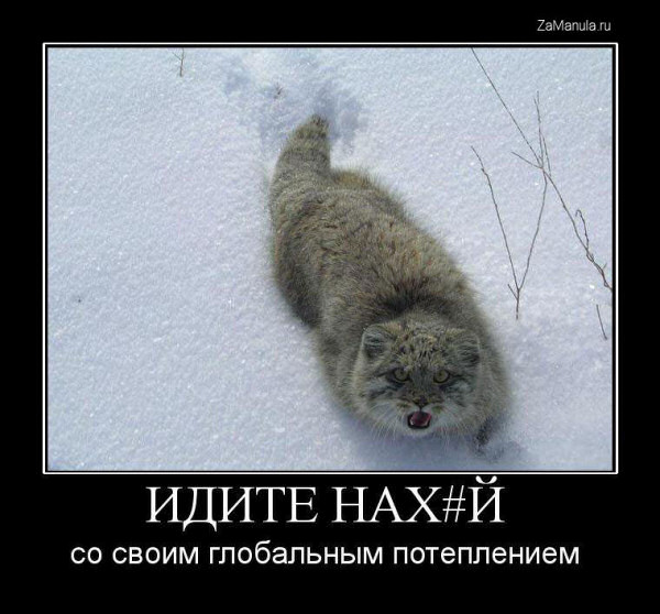 Глобальное потепление Глобальное потепление