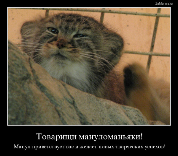 Товарищи мануломаньяки! Товарищи мануломаньяки!
