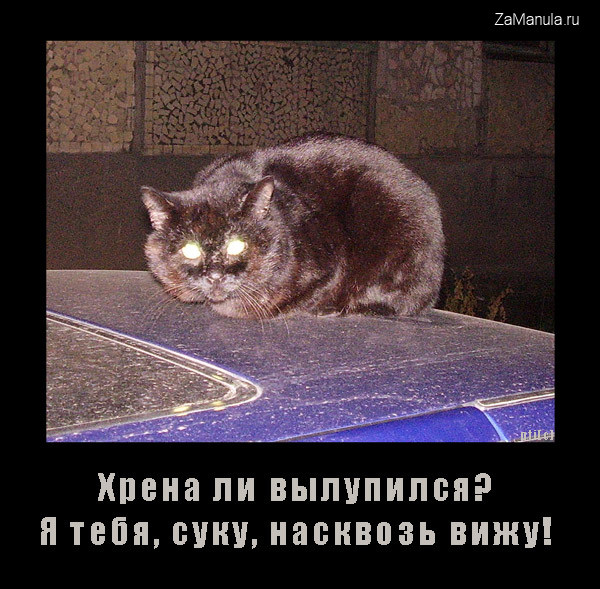 Хрена ли вылупился? Хрена ли вылупился?