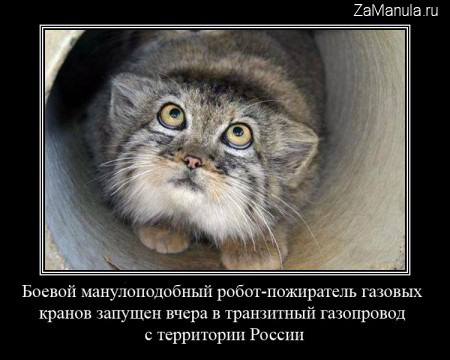 Боевой манулоподобный робот-пожиратель газовых кранов Боевой манулоподобный робот-пожиратель газовых кранов