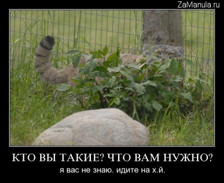 Кто вы такие? Что вам нужно? Кто вы такие? Что вам нужно?