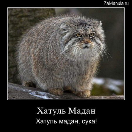Хатуль Мадан Хатуль Мадан