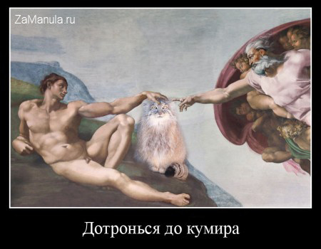 Дотронься до кумира Дотронься до кумира