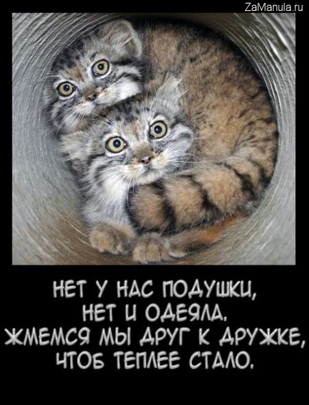 Вместе теплее Вместе теплее