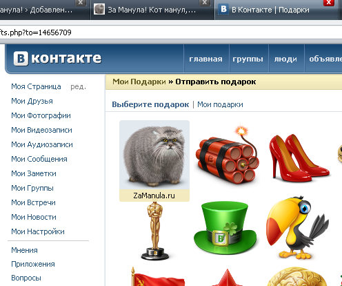 Манул "ВКонтакте" Манул "ВКонтакте"