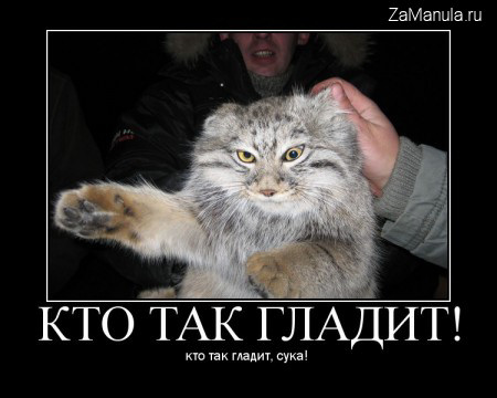Кто так гладит! Кто так гладит!