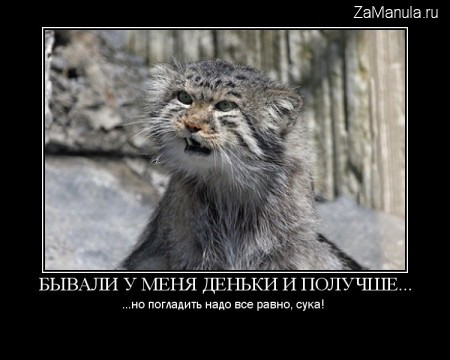 Бывали у меня деньки и получше... Бывали у меня деньки и получше...