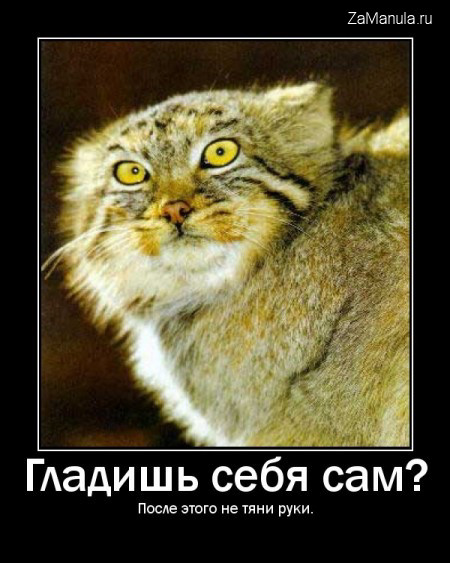 Гладишь себя сам? Гладишь себя сам?