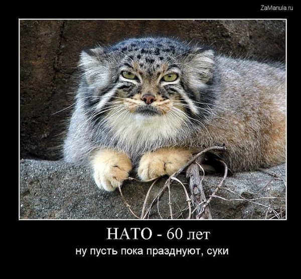 НАТО - 60 лет НАТО - 60 лет