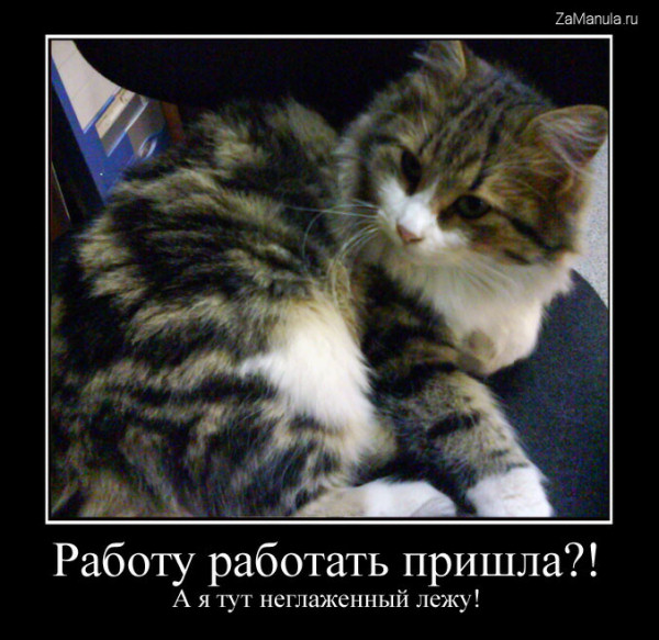 Работу работать пришла?! Работу работать пришла?!