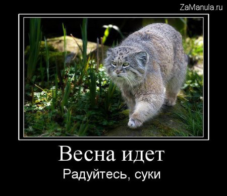 Весна идет Весна идет