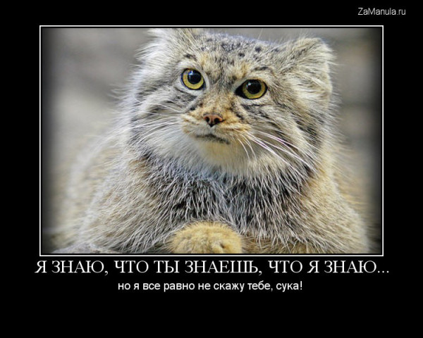 Я знаю, что ты знаешь, что я знаю... Я знаю, что ты знаешь, что я знаю...