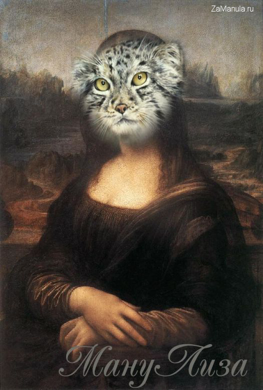 Ману Лиза Ману Лиза