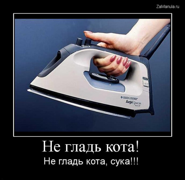 Не гладь кота!