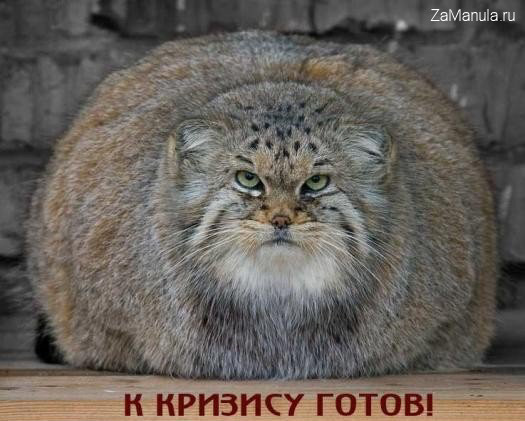 К кризису готов! К кризису готов!