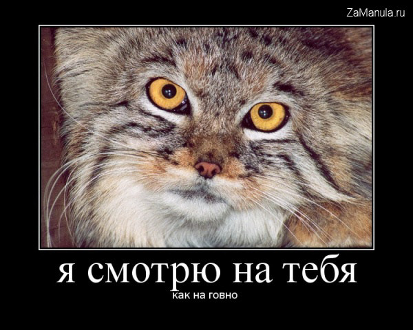 Я смотрю на тебя Я смотрю на тебя