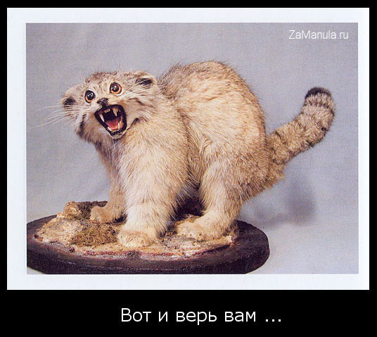 Вот и верь вам...