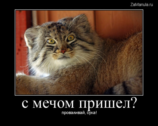 С мечом пришел? С мечом пришел?