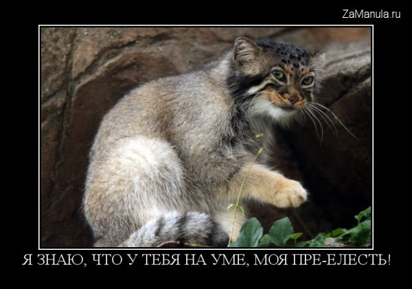 Я знаю, что у тебя на уме... Я знаю, что у тебя на уме...