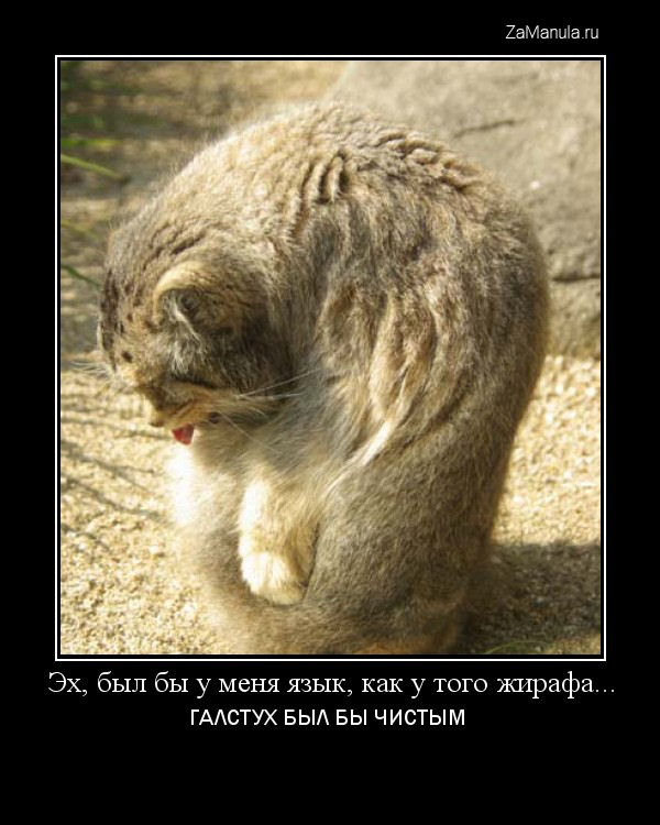 Был бы у меня язык... Был бы у меня язык...