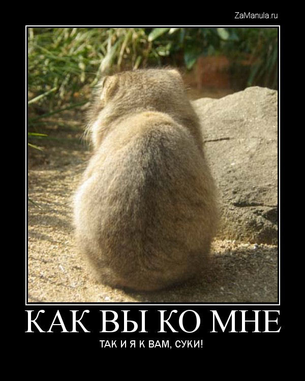 Как вы ко мне - так и я к вам Как вы ко мне - так и я к вам