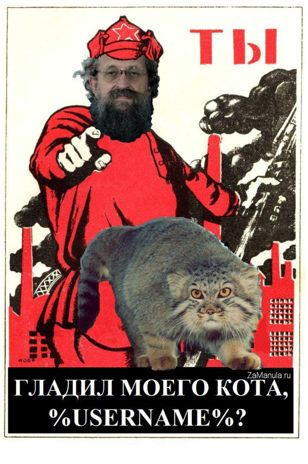 Гладил моего кота? Гладил моего кота?
