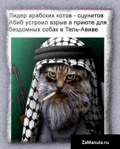 Лидер арабских котов-сцунитов Лидер арабских котов-сцунитов