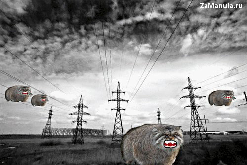 Электро-манул Электро-манул