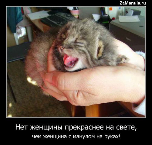 Женщина с манулом на руках Женщина с манулом на руках
