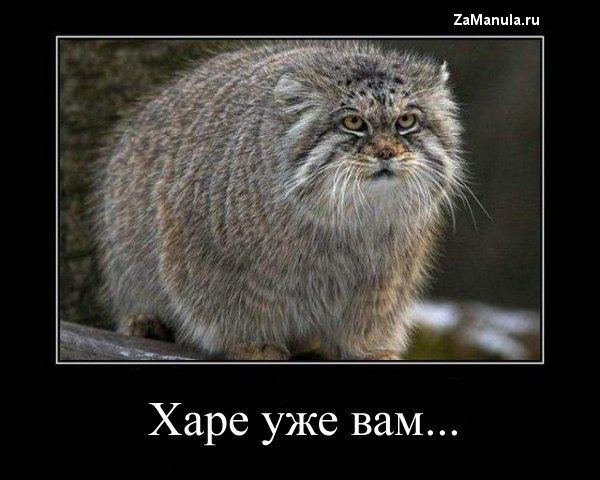 Харе уже вам... Харе уже вам...